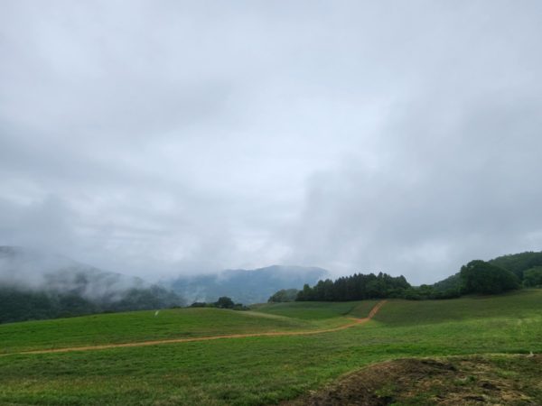 【天空のポピー2024 開催延期】